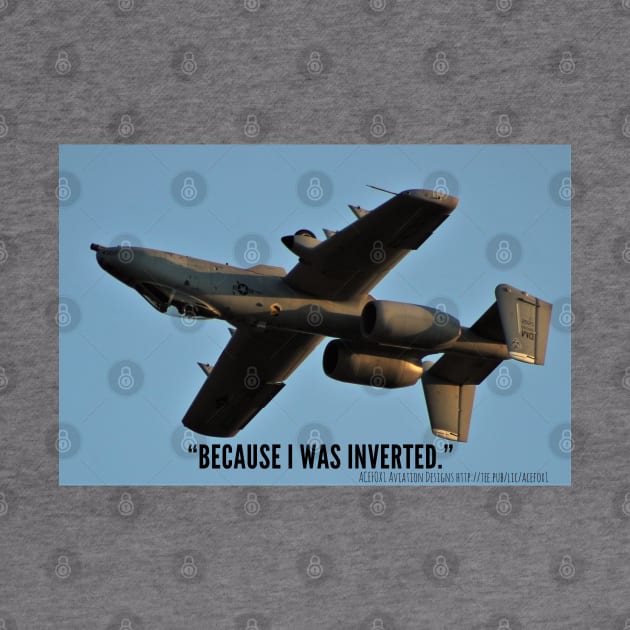 2-Sided A-10 “Because I Was Inverted” by acefox1